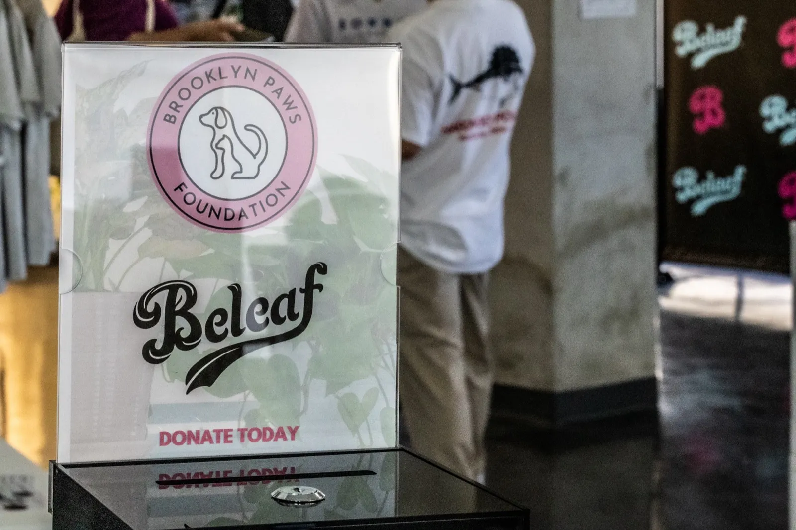 Brooklyn Paws Foundation donation at Beleaf community event