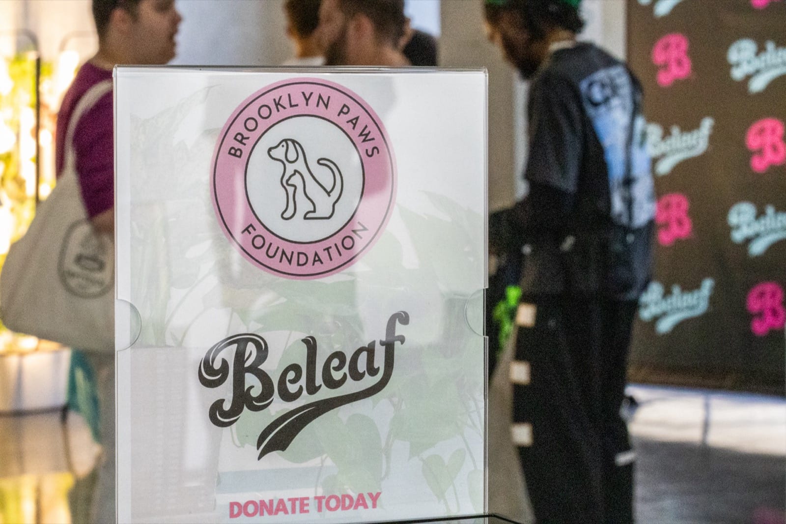 Community gathering and engagement event supported by Beleaf NY