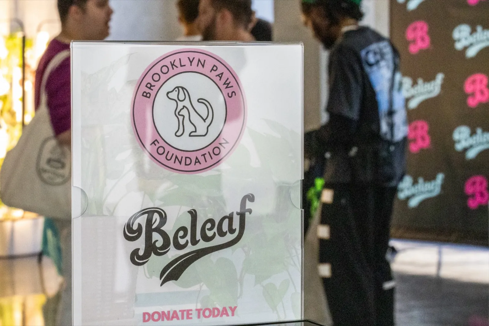 Community gathering and engagement event supported by Beleaf NY