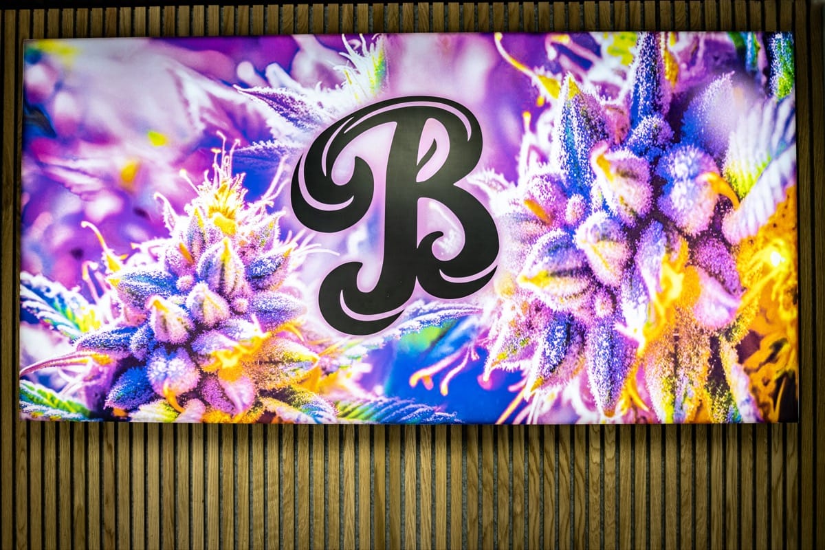 Close-up of custom Beleaf B-logo artwork on the Calverton dispensary wall