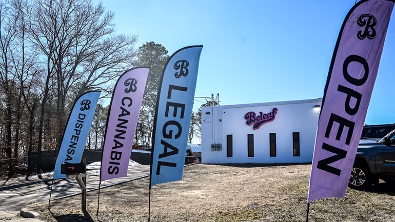 Cannabis education at Beleaf NY — learn about flower, edibles, vapes, and consumption
